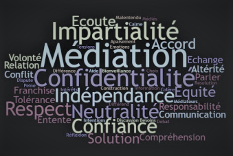 mediation-expert-avis-assistance-la-reunion-974